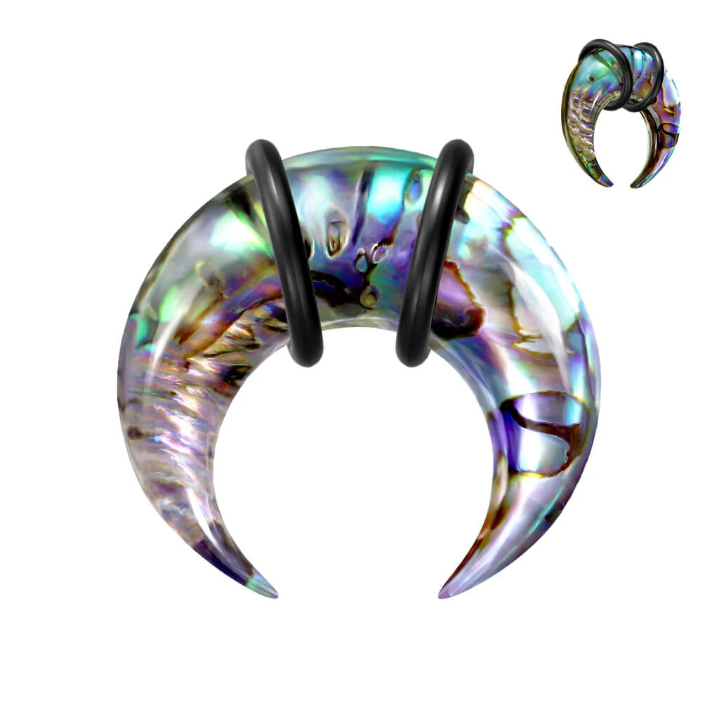 Abalone - Image 2